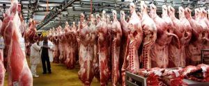 Carnea și produsele lactate românești urmează să fie exportate în China!