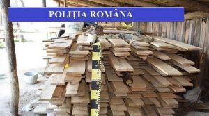 Material lemnos confiscat