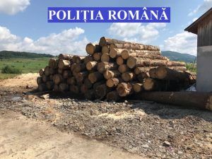 Material lemnos confiscat la Hodac