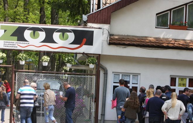 Magazin de cadouri-jucării la Zoo Târgu-Mureş?