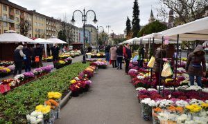Expoziţie de flori cu vânzare, în Piaţa Trandafirilor