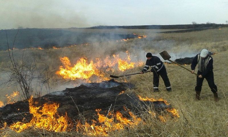 Prefectura Mureş, în căutare de soluţii pentru combaterea incendiilor de vegetaţie