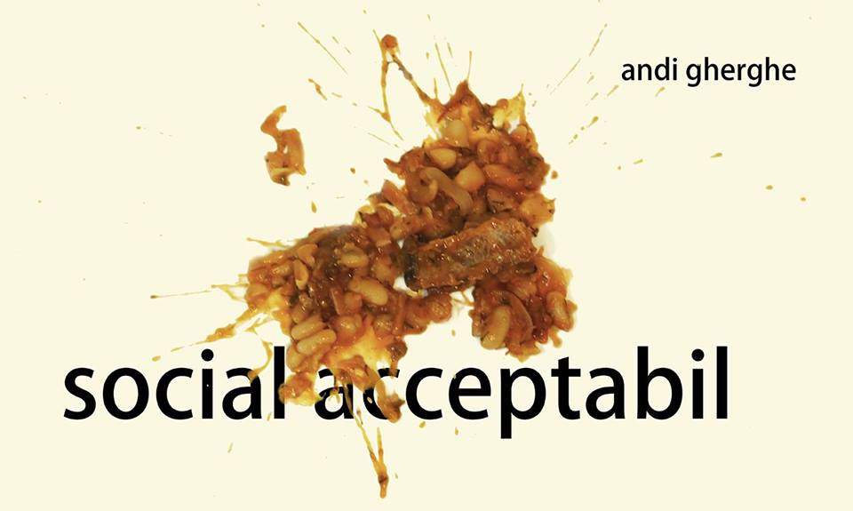 „Social Acceptabil“ de Andi Gherghe, invitat la Teatrul Ariel