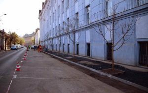 Copaci înlocuiţi şi trotuare refăcute pe strada Nicolae Iorga
