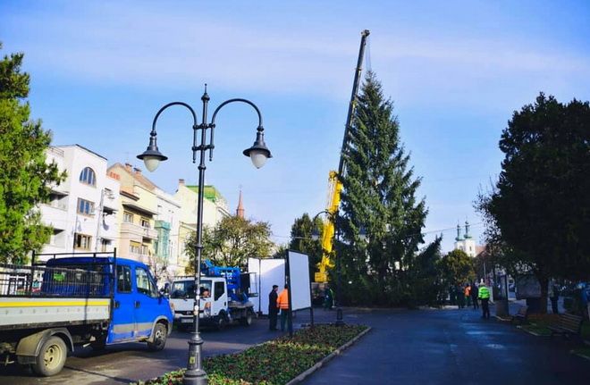 Simbolul Crăciunului a sosit în centrul municipiului Târgu-Mureș!