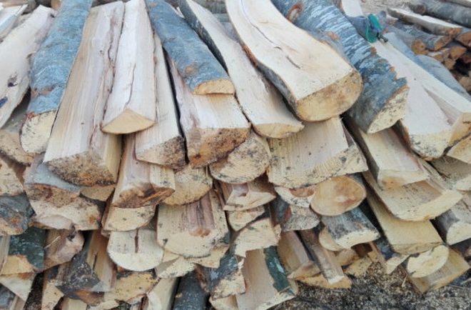 Material lemnos abandonat, confiscat de poliţişti