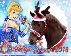 Moș Crăciun vine pentru iubitorii de cai