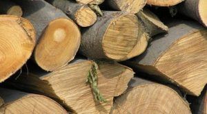 Material lemnos confiscat la Deda