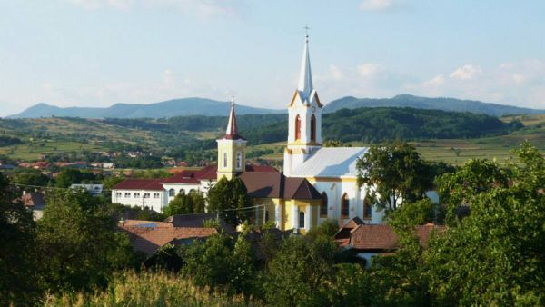 Angajări la primăria Ibănești