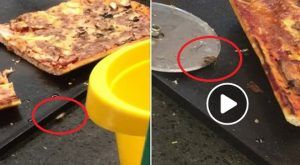 VIDEO: Pizza cu gândaci într-un hypermarket din Târgu-Mureş!