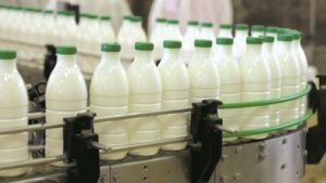 Fabrică de produse lactate din Jabeniţa scoasă la mezat!