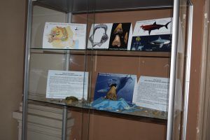 Dinte de rechin, vechi de 20 milioane de ani, la Secția de Științele Naturii din cadrul Muzeului Județean Mureș