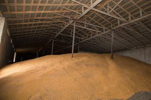 O nouă bază de colectare şi depozitare cereale în Mureş!