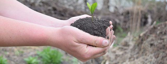 Proiectul ”Regreen – Compost de cartier”, lansat de Răzvan Ilieș și Cristian Man