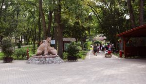 Noapte de vis la Zoo Târgu-Mureș!