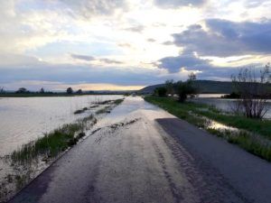 APIA, Direcția Agricolă și ANAF, în comisiile de evaluare a pagubelor inundațiilor