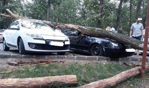 FOTO: Copac căzut peste două maşini, la Platoul Corneşti!