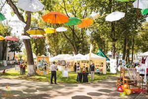 Vâltoarea Mureșeană rămâne în Parcul Municipal