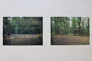 5 artiști, o rezidență și o expoziție – „Pădurea Rotundă VIII“ la Camera K’Arte