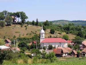 Primăria comunei Ceuașu de Câmpie angajează șofer