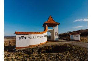 Creștere spectaculoasă a vânzărilor pentru Villa Vinèa