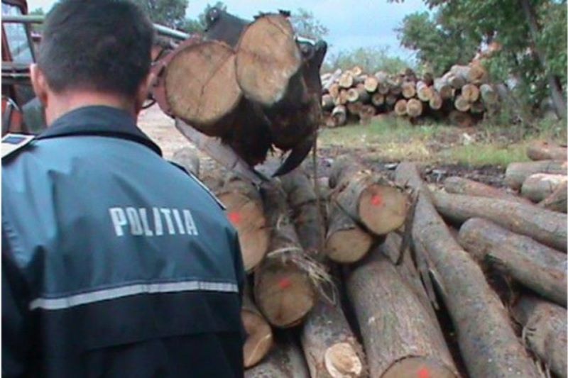 Mureș: Acțiune a Poliției Române pentru protejarea pădurilor
