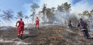 FOTO. Pădure în primejdie: Incendiu de vegetație uscată în Ranta Bogății