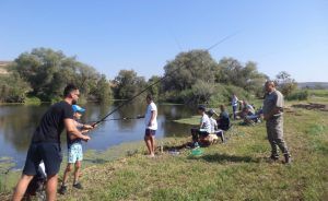 Primăria orașului Luduș cumpără pește