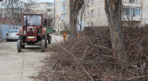 Târgu-Mureş: Programul ”Curățeniei generale de toamnă”