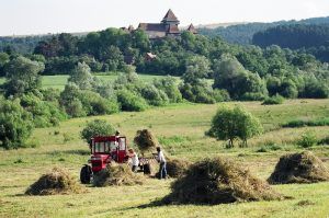 Proiect ADEPT Transilvania pentru restaurarea pajiştilor şi crearea de trasee tematice