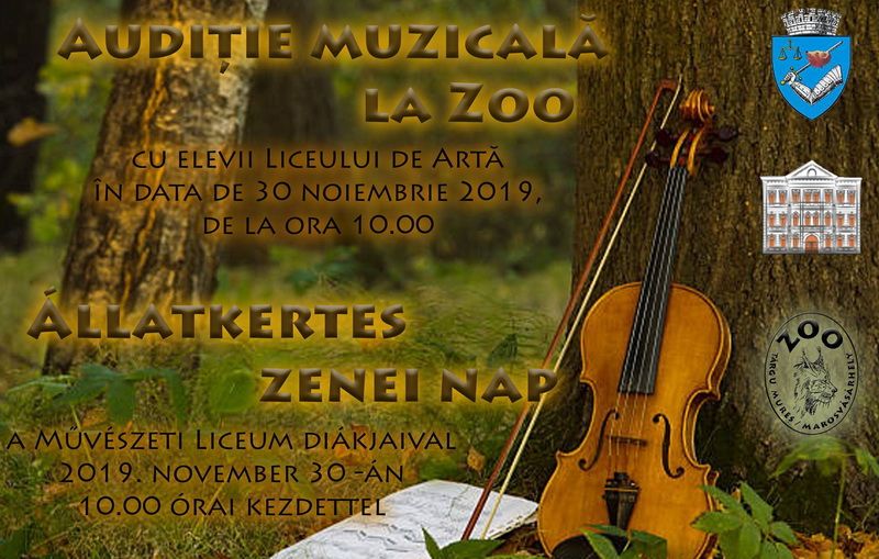 Concert inedit, la Zoo Târgu-Mureș