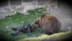VIDEO: Ciobanul ucis de urs, lăsat fără un braț!