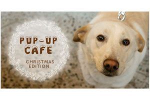 Iubitorii de animale sunt așteptați la Pup-up Cafe – Christmas Edition