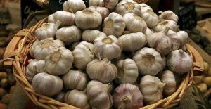 Mureș: Suprafața culturilor de usturoi, în creștere!