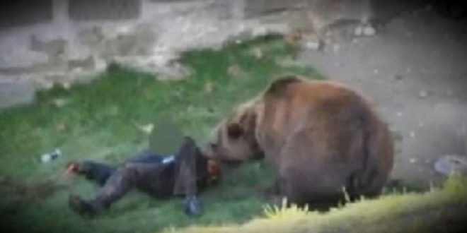 Incredibil! Mureșenii uciși de urși în 2019 nu există în statisticile autorităților!