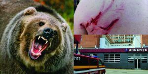 HAZARDUL SUPRAVIEȚUIRII. Din pădure, la SMURD Târgu-Mureș sau cum a scăpat cu viață un paznic atacat de ursoaică
