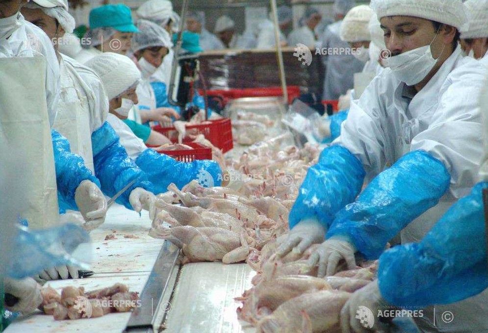 Mureș: Peste 250 de kilograme de carne din Ungaria vândute până la efectuarea controlului!