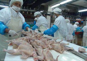 Carne de pasăre de la fermele din Ungaria unde există gripă aviară, la vânzare în Mureș