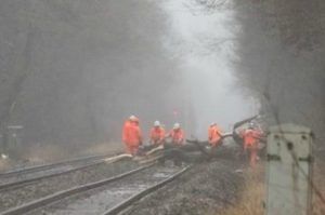 Mureș: Tren internațional blocat de un copac căzut! Un alt tren, oprit într-o gară!