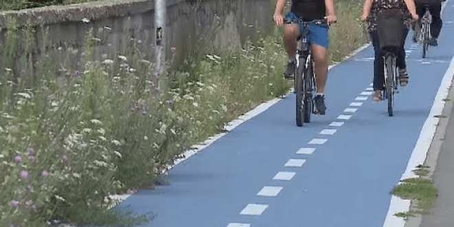 Dezbatere Cu Privire La Inființarea Pistelor De Biciclete In Targu