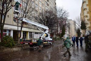 Târgu-Mureș: Toaletare de copaci în cartierul Dâmbu Pietros