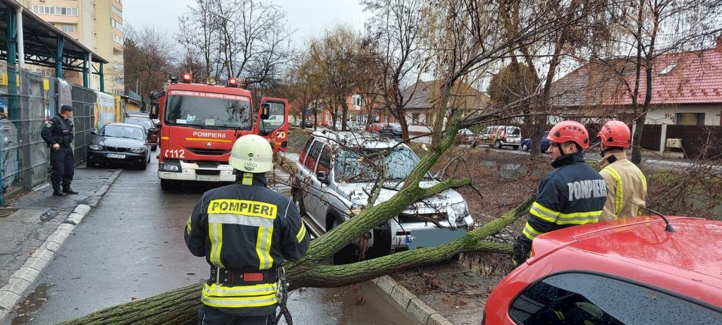 Copac căzut peste un autoturism în Tudor