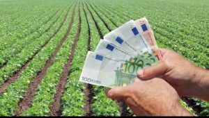 Vești bune pentru fermierii români: 100.000 euro ajutoare de stat plus 20.000 euro ajutoare de minimis