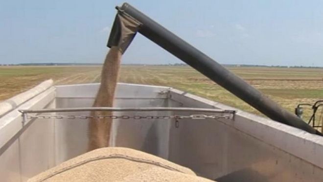 Exportul de cereale, semințe și zahăr, suspendat