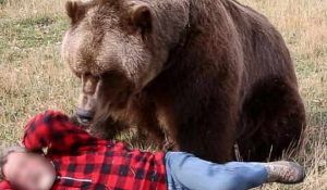 UpDATE: Turiști atacați de urs!