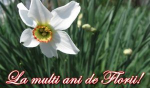 Ce nume de flori sunt sărbătorite în Duminica Floriilor