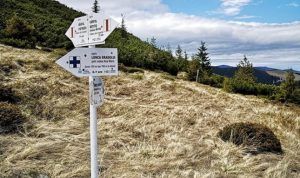 Mureș: Peste 40 de trasee montane pregătite de salvamontiști pentru reluarea drumețiilor