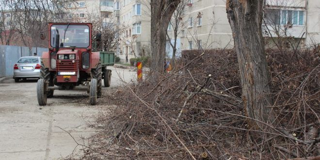 Curățenia generală continuă la Târgu Mureș