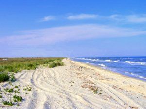 Suprafața plajelor de pe litoralul românesc va crește cu 200 de hectare