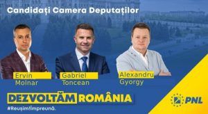 Candidații PNL Mureș pentru parlamentare